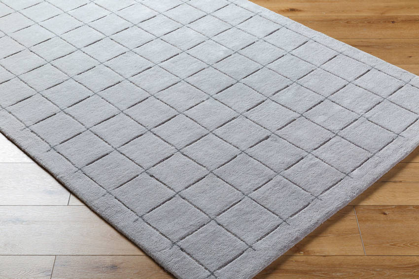 Richad Modern Gray Area Rug