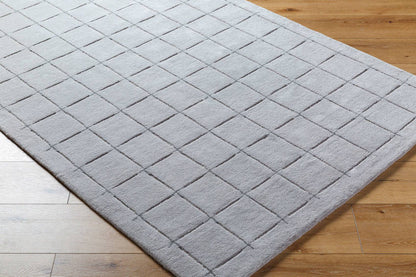 Richad Modern Gray Area Rug