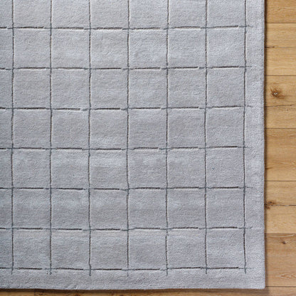 Richad Modern Gray Area Rug