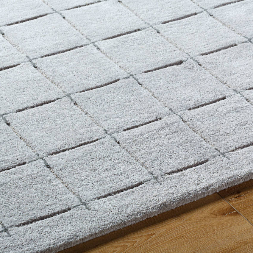 Richad Modern Gray Area Rug