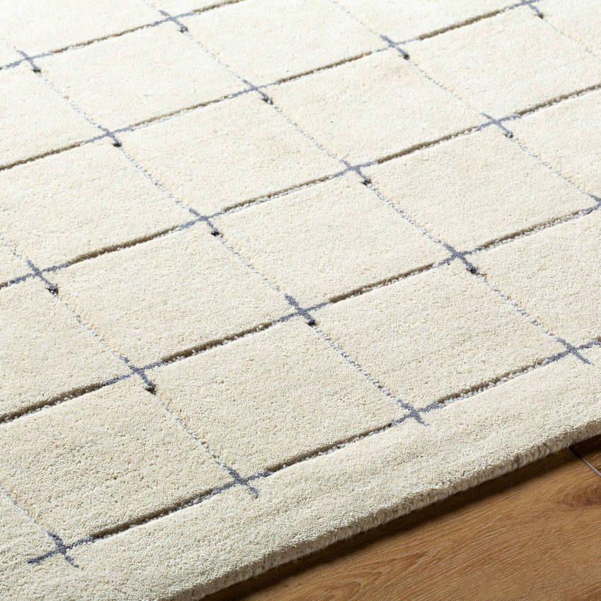 Richad Modern Tan Area Rug