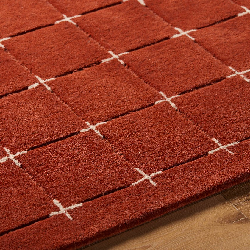 Richad Modern Rust Area Rug