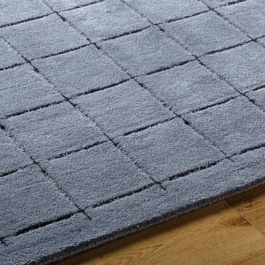 Richad Modern Charcoal Area Rug