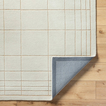 Darlena Modern Oatmeal Area Rug