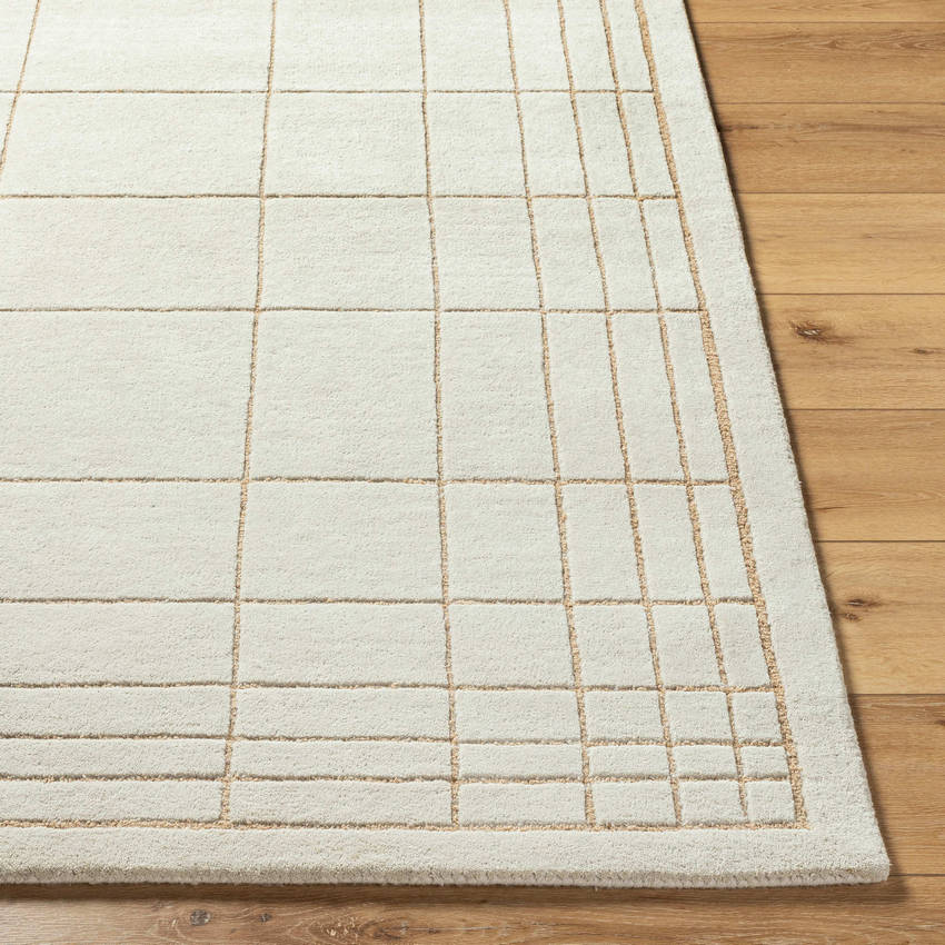 Darlena Modern Oatmeal Area Rug