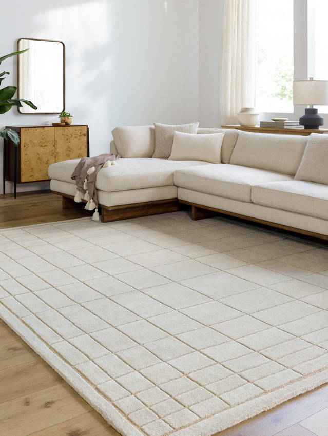 Darlena Modern Oatmeal Area Rug