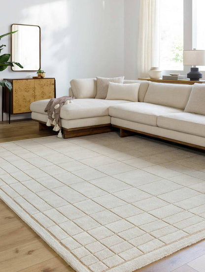 Darlena Modern Oatmeal Area Rug