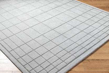 Darlena Modern Medium Gray Area Rug