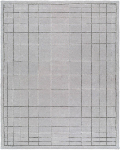 Darlena Modern Medium Gray Area Rug