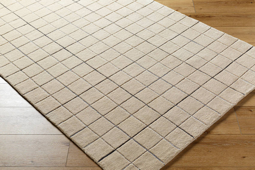 Nasreen Modern Tan Area Rug