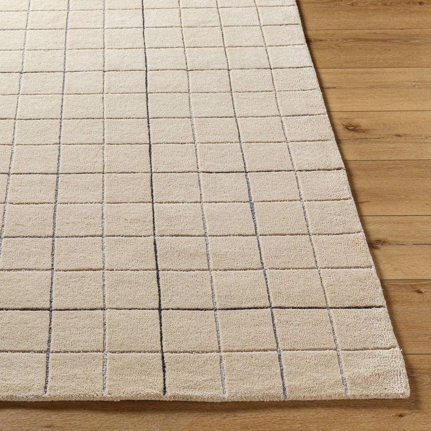 Nasreen Modern Tan Area Rug