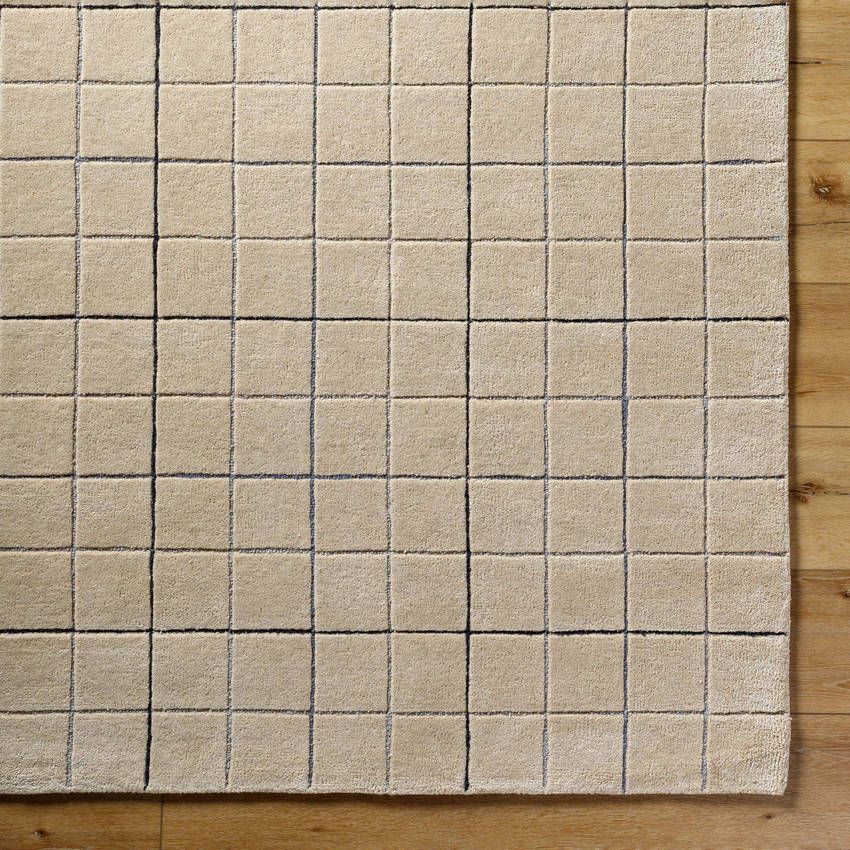 Nasreen Modern Tan Area Rug