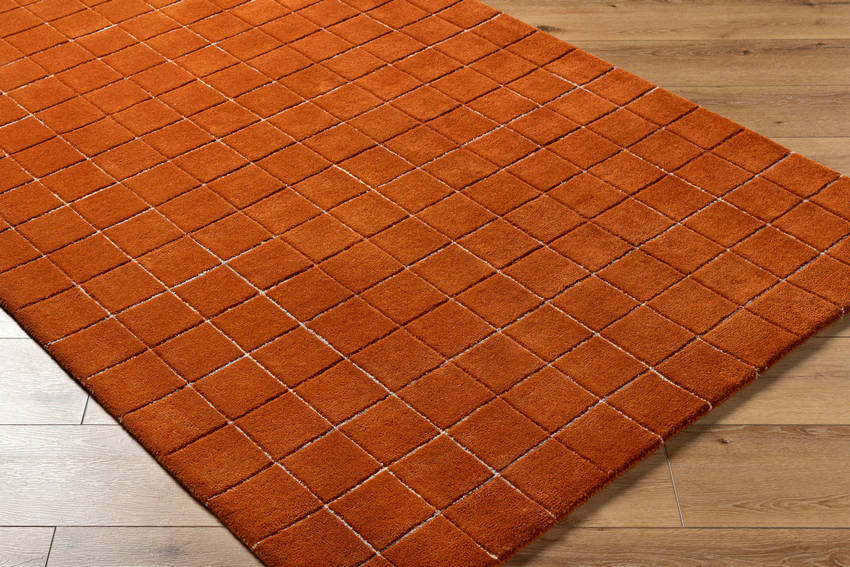 Nasreen Modern Rust Area Rug