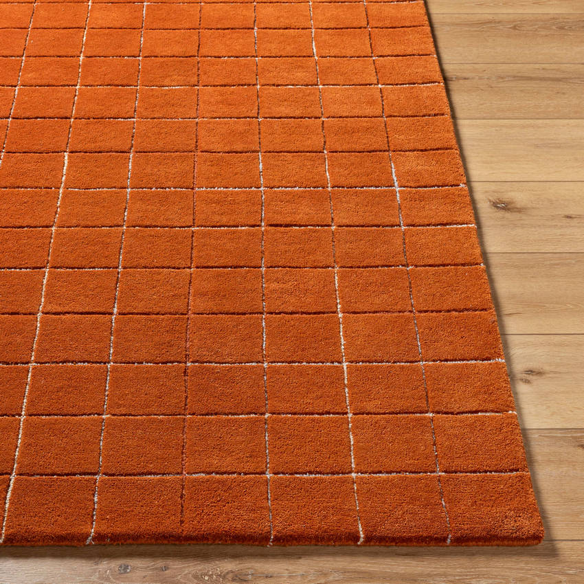 Nasreen Modern Rust Area Rug
