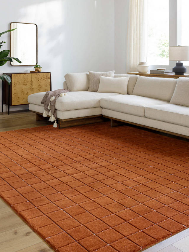 Nasreen Modern Rust Area Rug