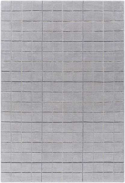 Nasreen Modern Slate Area Rug