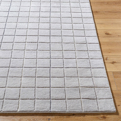 Nasreen Modern Slate Area Rug