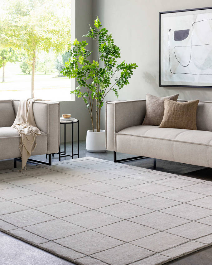 Isai Modern Gray Area Rug