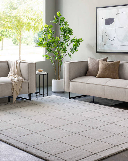 Isai Modern Gray Area Rug