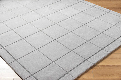 Isai Modern Gray Area Rug