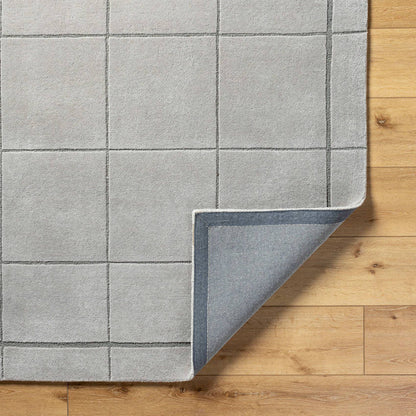 Isai Modern Gray Area Rug