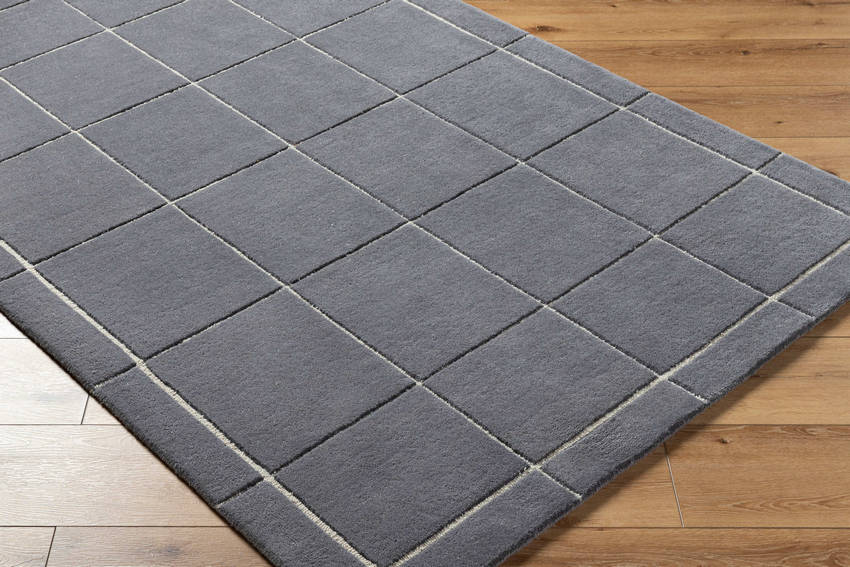 Isai Modern Charcoal Area Rug