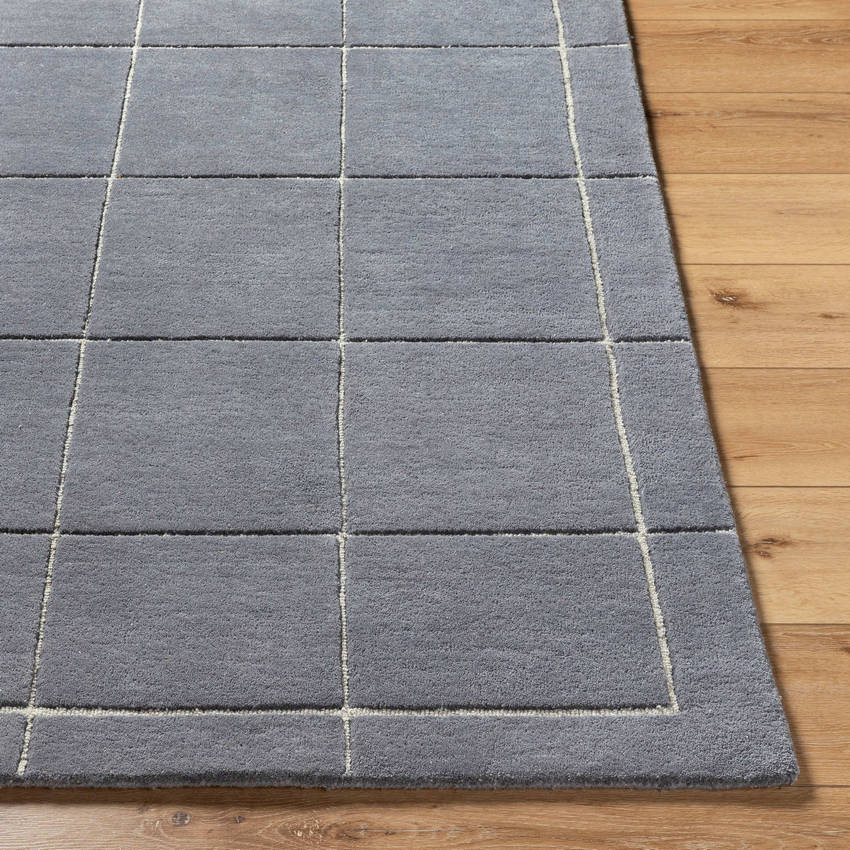 Isai Modern Charcoal Area Rug