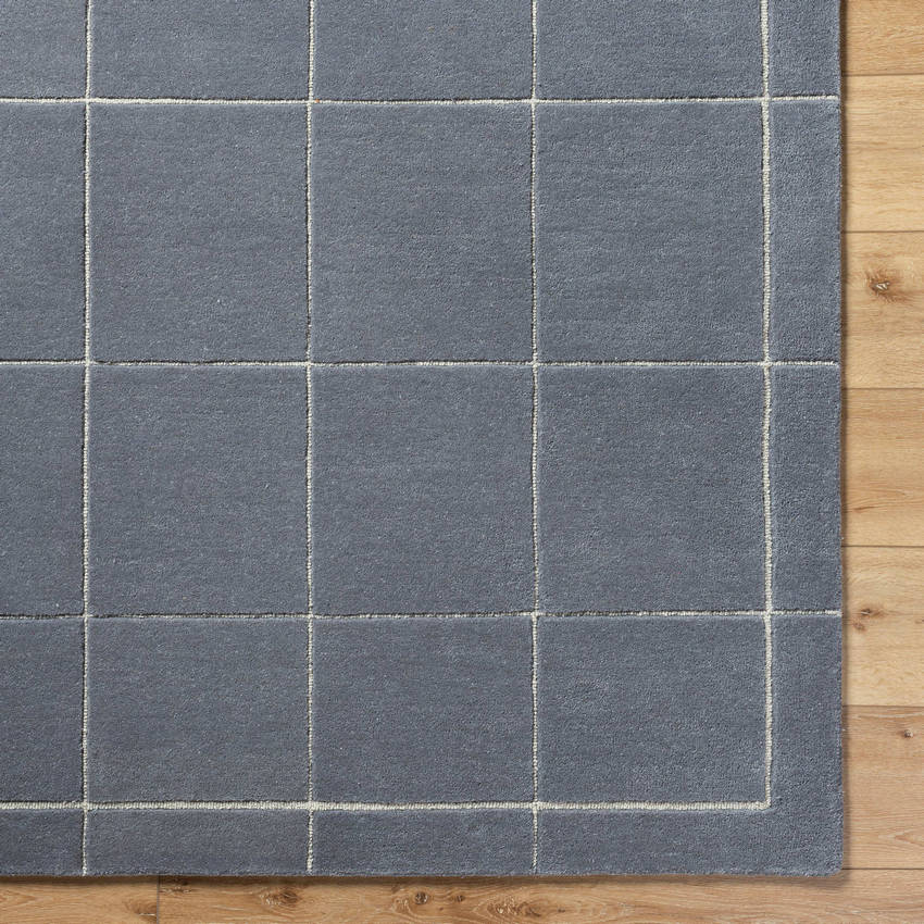 Isai Modern Charcoal Area Rug