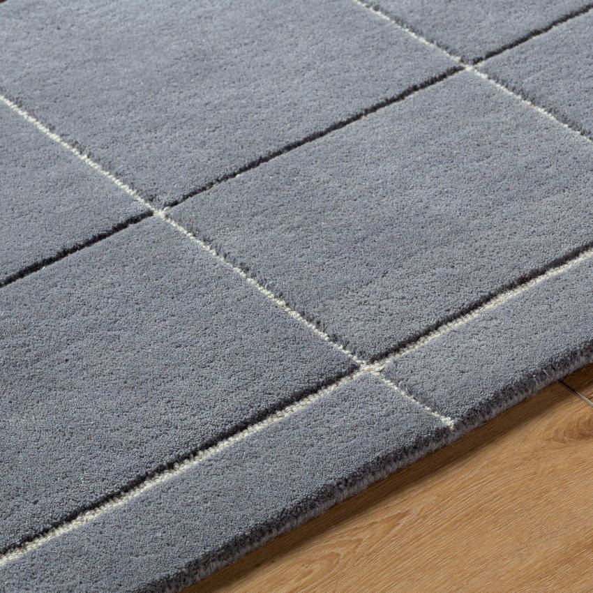 Isai Modern Charcoal Area Rug