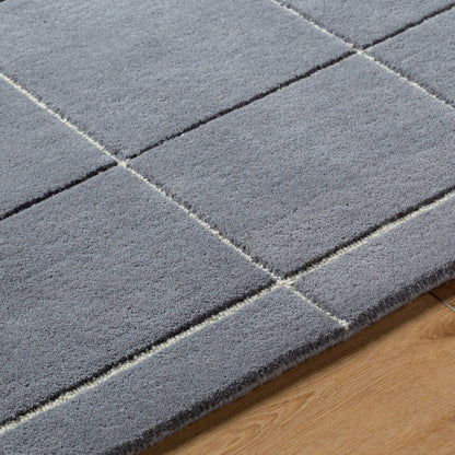 Isai Modern Charcoal Area Rug