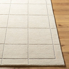 Isai Modern Light Beige Area Rug