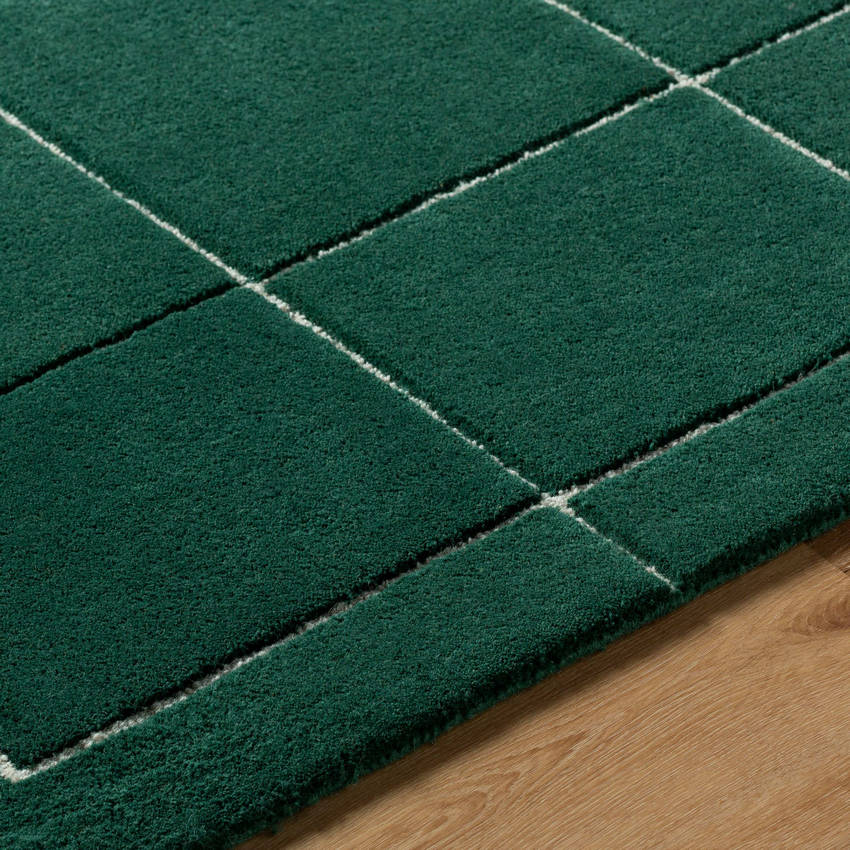 Isai Modern Dark Green Area Rug