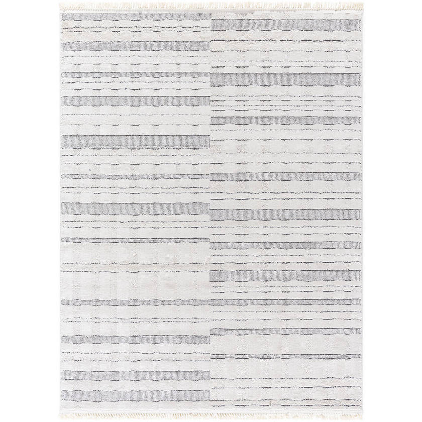 Richar Modern Ivory/Black Area Rug