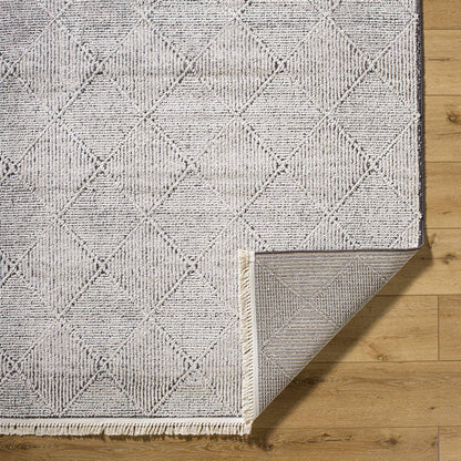 Otha Modern Ivory/Black Area Rug