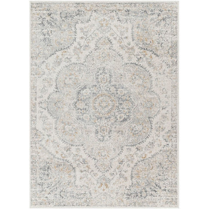 Lola Traditional Medium Gray Area Rug