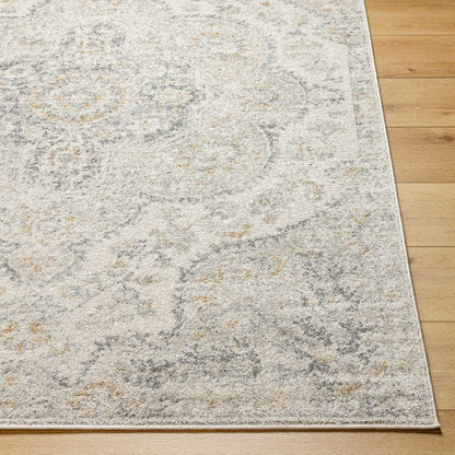 Lola Traditional Medium Gray Area Rug
