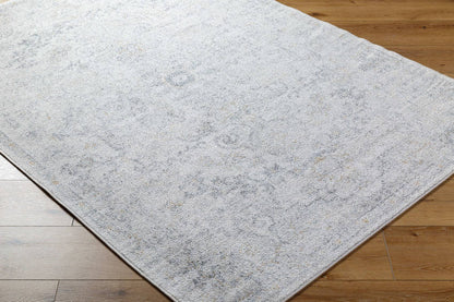 Olivia Traditional Medium Gray Area Rug
