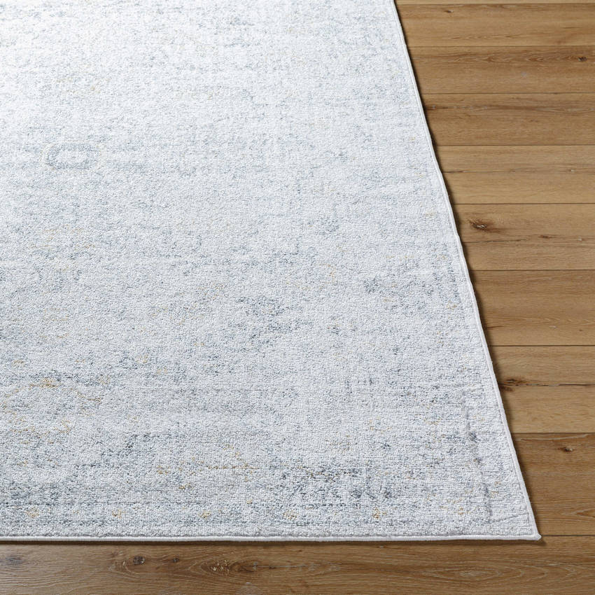 Olivia Traditional Medium Gray Area Rug