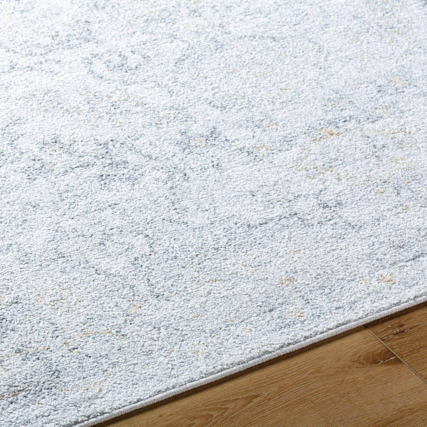 Olivia Traditional Medium Gray Area Rug