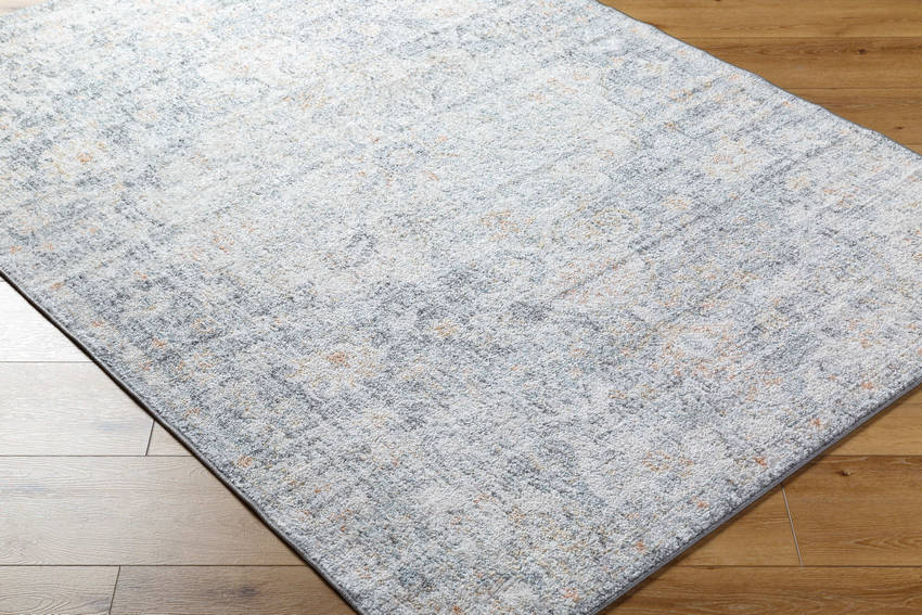 Olivia Traditional Blue Area Rug