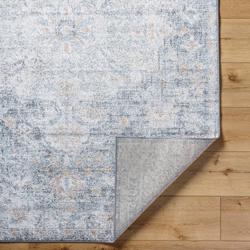 Olivia Traditional Blue Area Rug