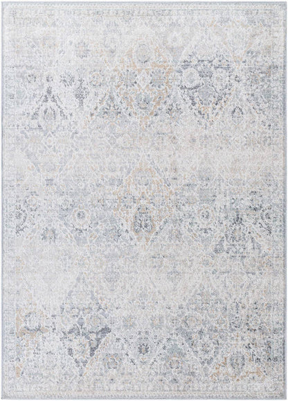 Emilly Traditional Medium Gray Area Rug