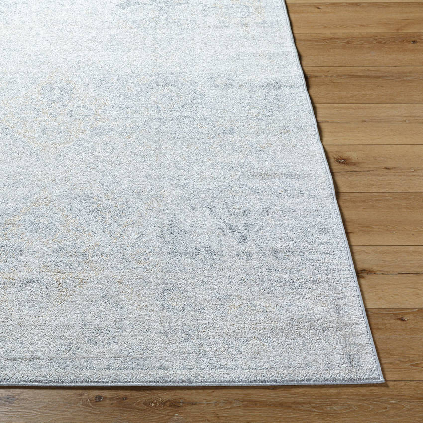 Emilly Traditional Medium Gray Area Rug