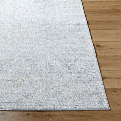 Emilly Traditional Medium Gray Area Rug