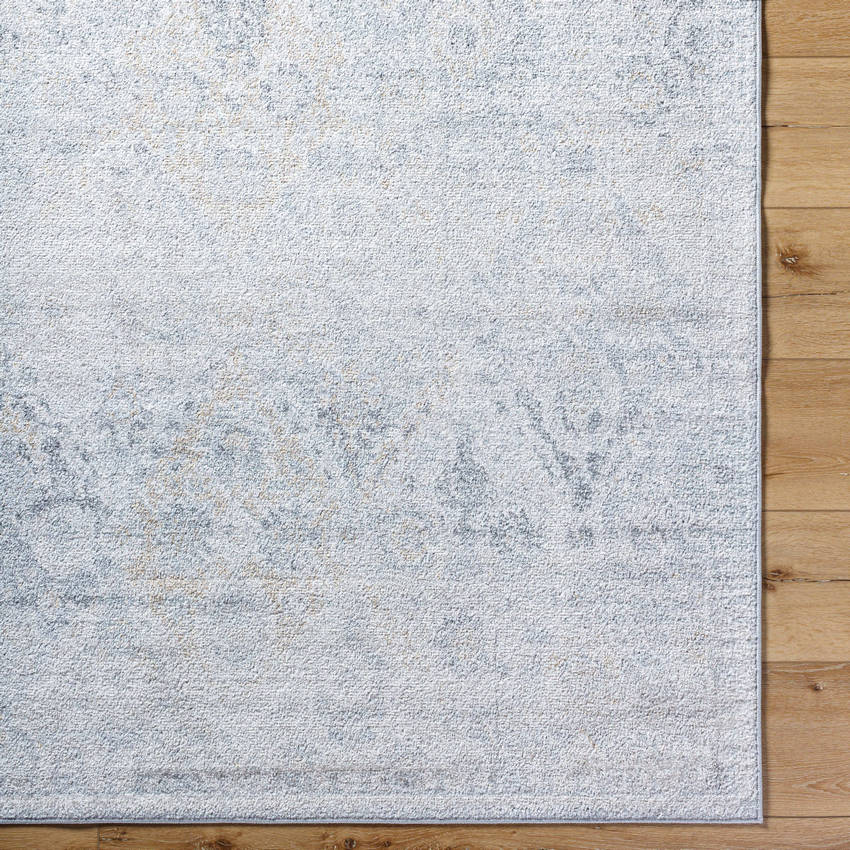Emilly Traditional Medium Gray Area Rug