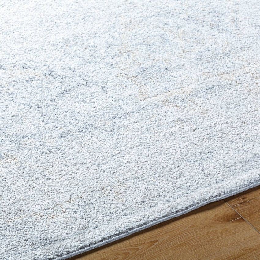 Emilly Traditional Medium Gray Area Rug