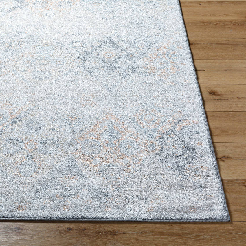 Emilly Traditional Amber Area Rug