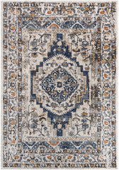 Elimelech Traditional Light Silver Area Rug
