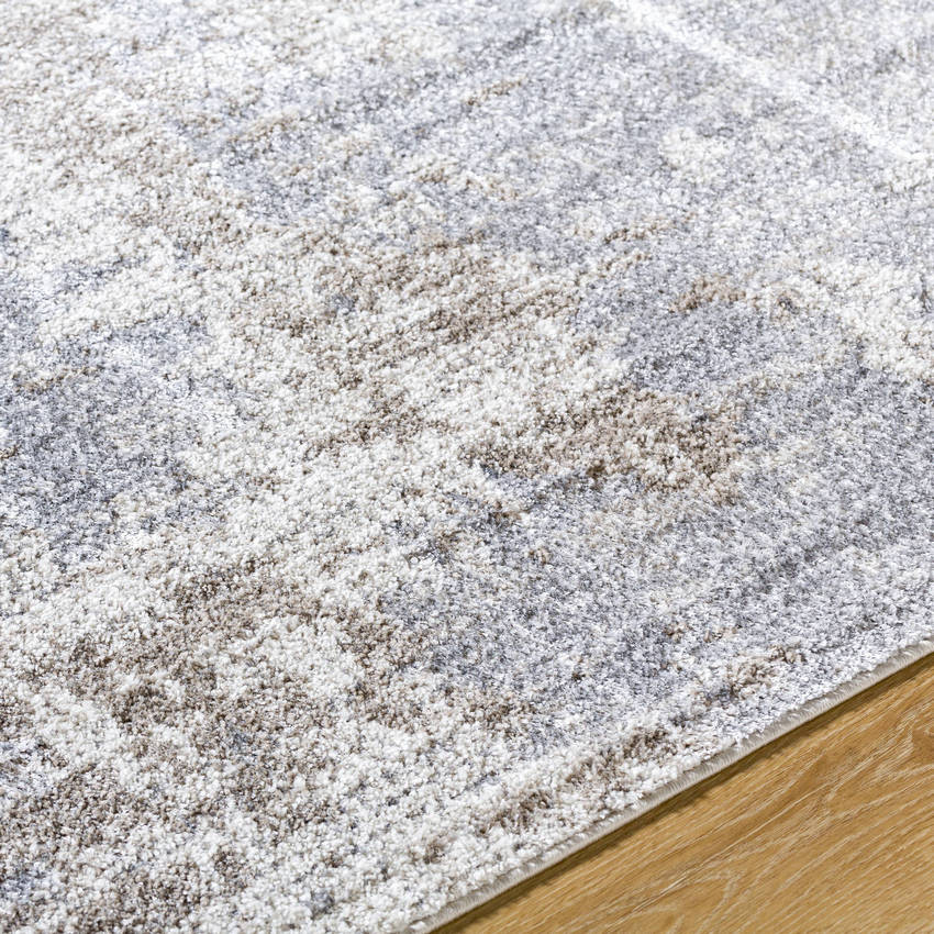 Rollie Modern Charcoal/Light Brown Area Rug