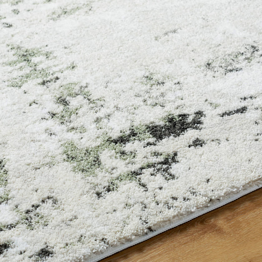 Collis Modern Dark Green/Black Area Rug